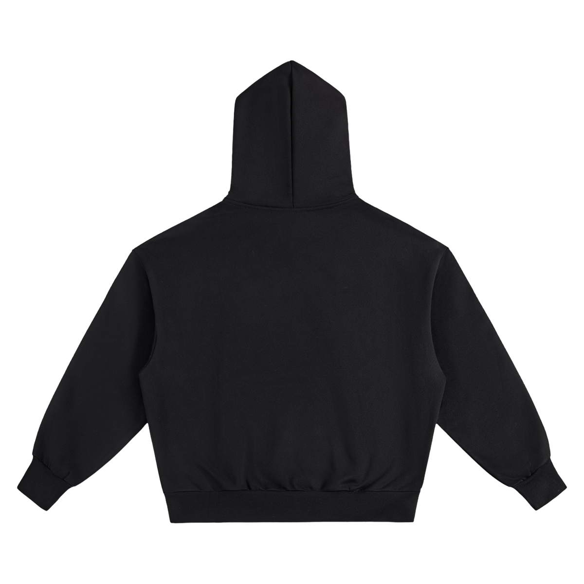 MASS Hoodie Black Back